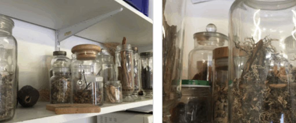 shelves of bottled dried plants